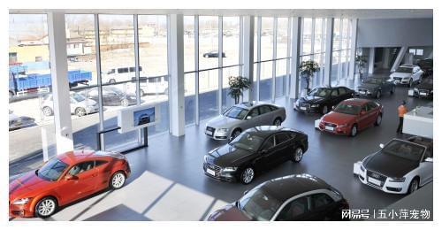 8200萬汽車消費(fèi)券成功發(fā)放，汽車銷售行業(yè)或迎新爆發(fā)